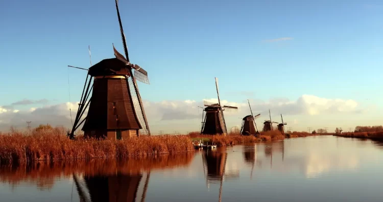 De leukste feelgood van eigen bodem